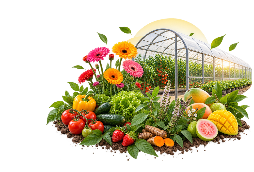 Diversified Agriculture Greenhouse Showcase